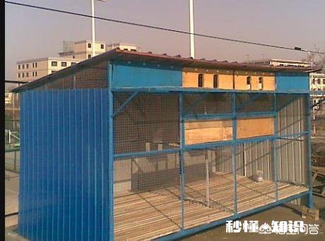 我想养鸽子，请问鸽舍怎么样修建，什么样的鸽子窝更好