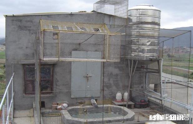 我想养鸽子，请问鸽舍怎么样修建，什么样的鸽子窝更好