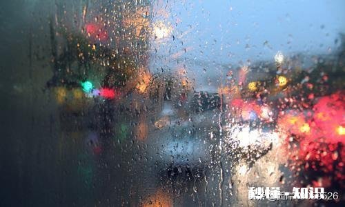 晚上下班十一点，没有车，下着雨，一路淋着雨回家，是种什么感觉