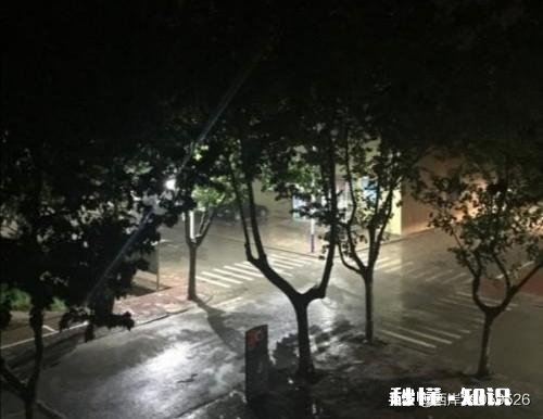晚上下班十一点，没有车，下着雨，一路淋着雨回家，是种什么感觉