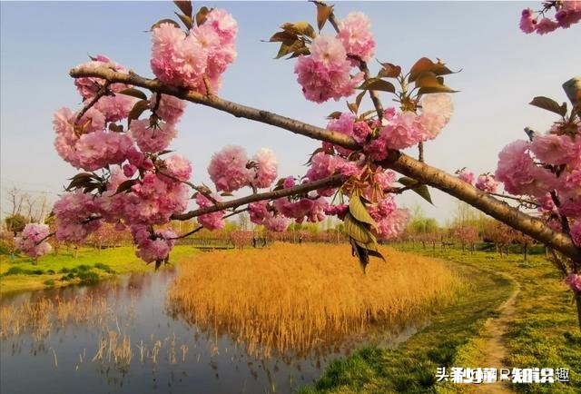 摄影师兄弟们，2020过了一小半了，当初的计划实现了吗，觉得如何