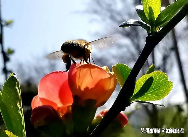 摄影师兄弟们，2020过了一小半了，当初的计划实现了吗，觉得如何