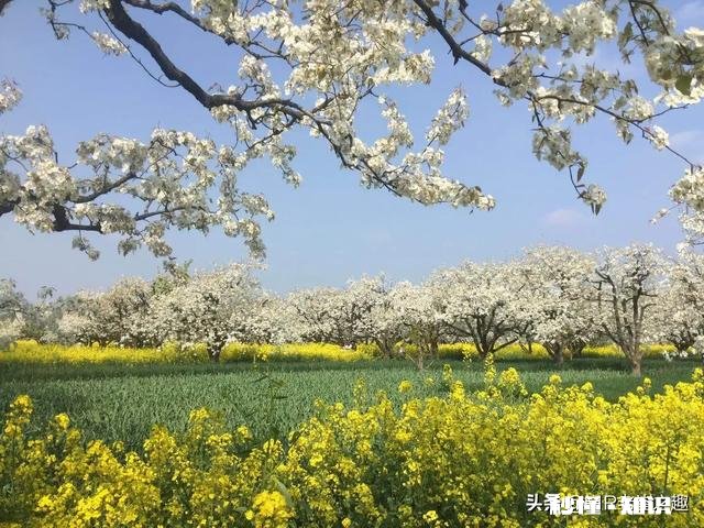 摄影师兄弟们，2020过了一小半了，当初的计划实现了吗，觉得如何