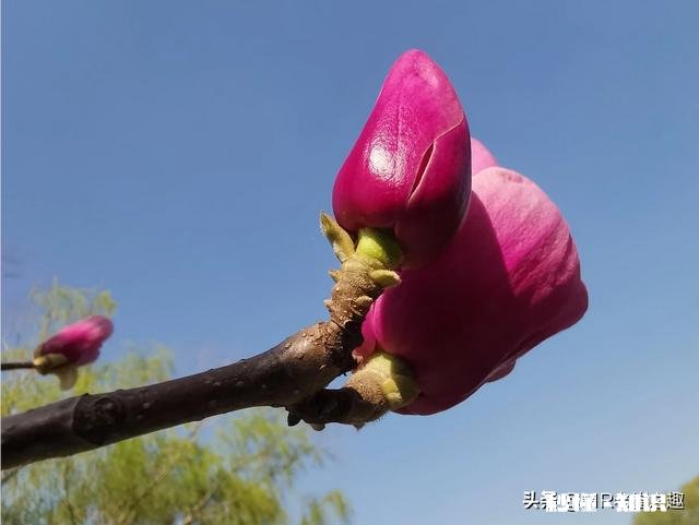 摄影师兄弟们，2020过了一小半了，当初的计划实现了吗，觉得如何