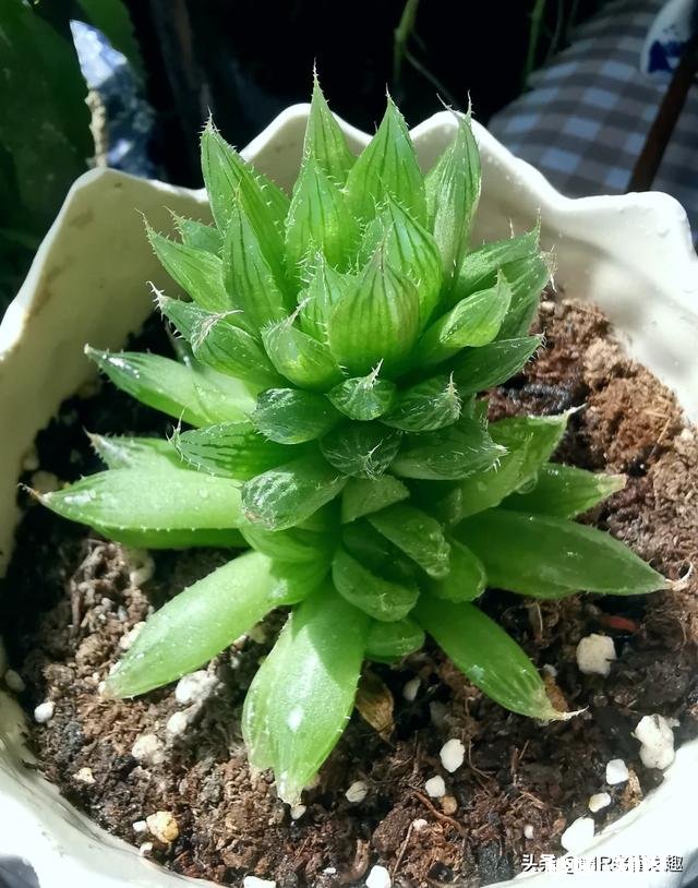 摄影师兄弟们，2020过了一小半了，当初的计划实现了吗，觉得如何