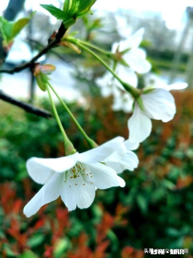 摄影师兄弟们，2020过了一小半了，当初的计划实现了吗，觉得如何