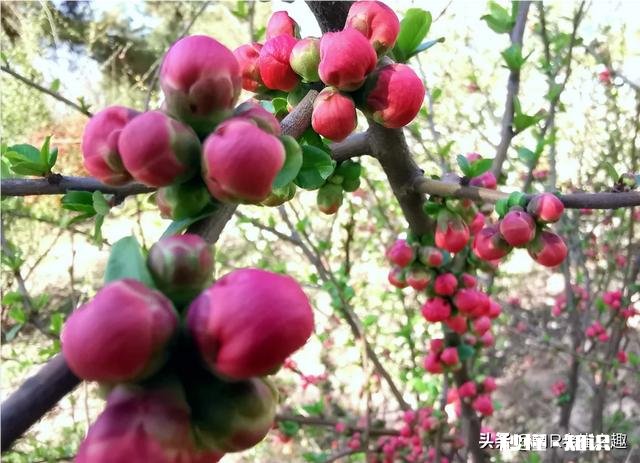 摄影师兄弟们，2020过了一小半了，当初的计划实现了吗，觉得如何