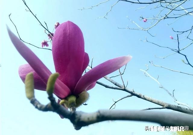 摄影师兄弟们，2020过了一小半了，当初的计划实现了吗，觉得如何