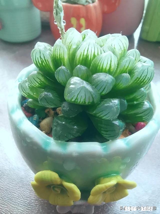 摄影师兄弟们，2020过了一小半了，当初的计划实现了吗，觉得如何