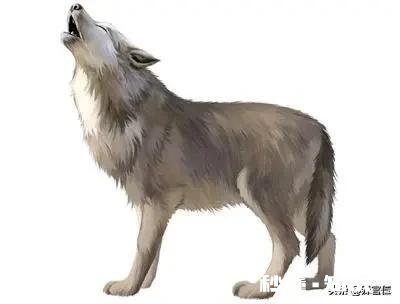 能讲一个前些年常听到的恐怖故事吗