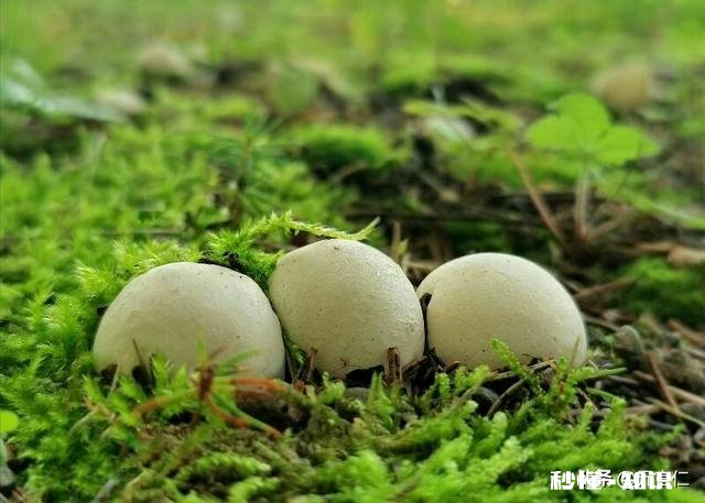 能讲一个前些年常听到的恐怖故事吗