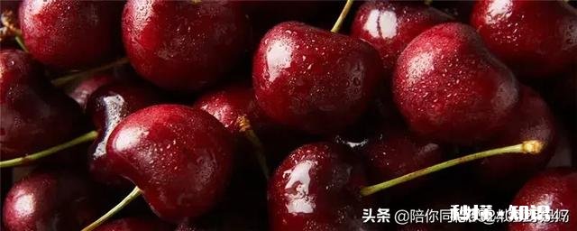 布鲁克斯和拉宾斯哪个好