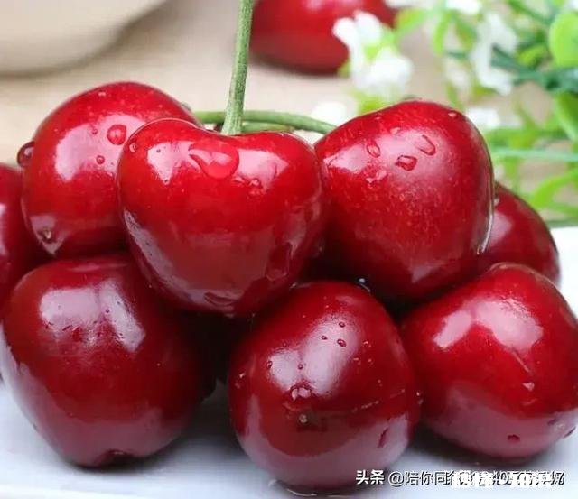 布鲁克斯和拉宾斯哪个好