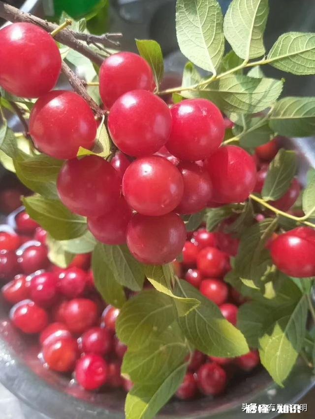 夏天你对夏天想说些什么