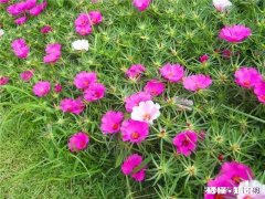 夏天你对夏天想说些什么