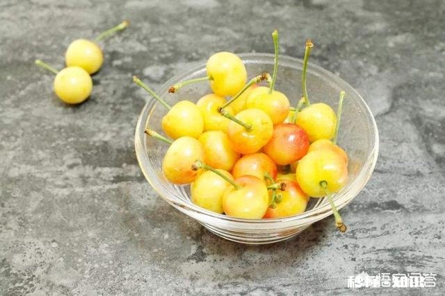 什么品种的樱桃好吃