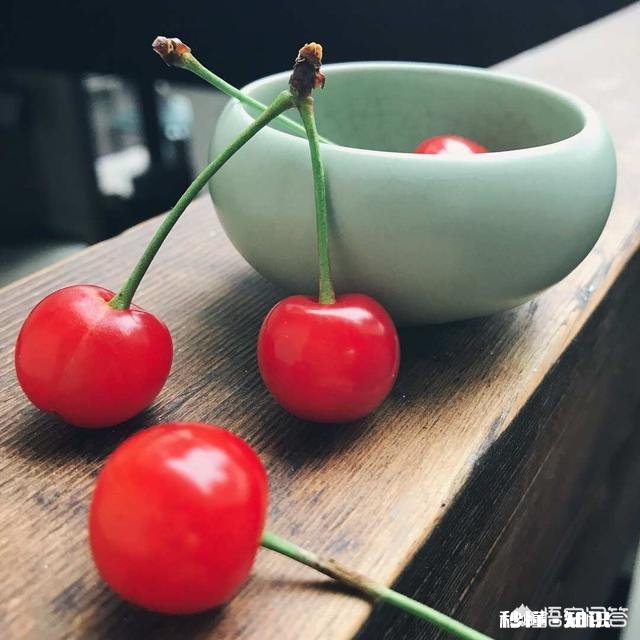 什么品种的樱桃好吃