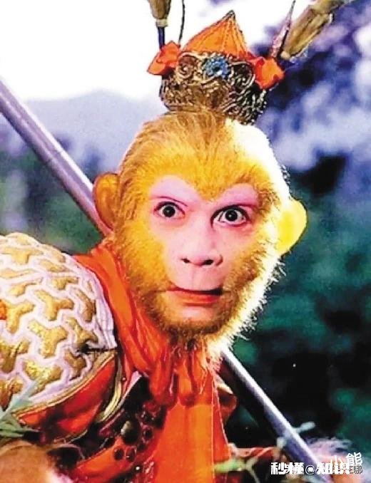 如果要变成《西游记》里的妖怪，能接受变成哪一个