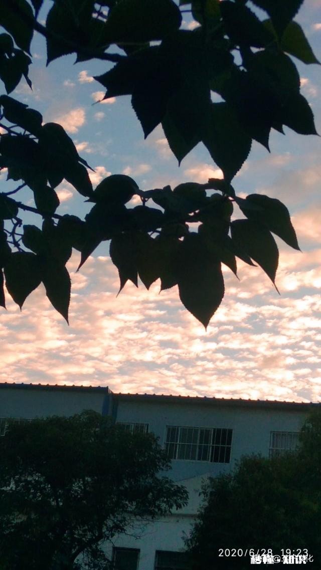 办公室副主任，一个酷派且酸涩的岗位，上不去，下不来，怎么干才有出息