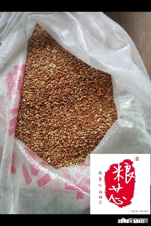 你心里认为最好喝最让人回味的酒是什么