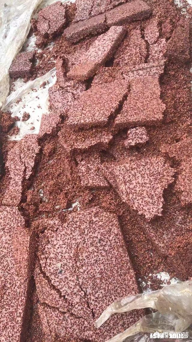 你心里认为最好喝最让人回味的酒是什么