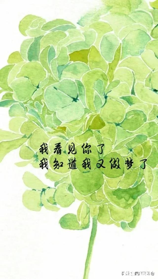 10多年前的恋人从没联系为何在梦中出现