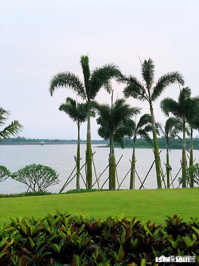 在黑市，投资住宅还是商铺或者办公楼，哪个好