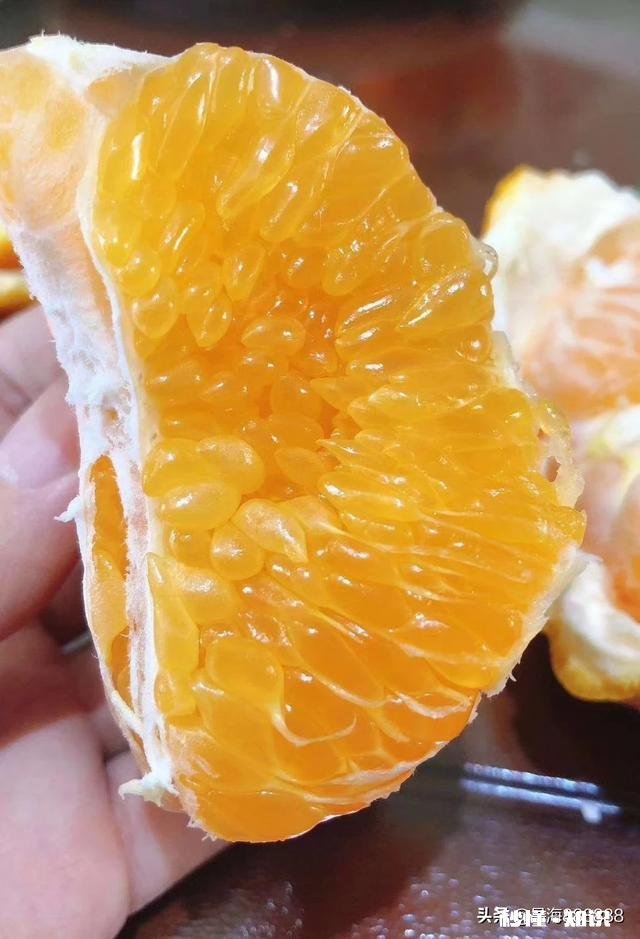 请问，柑桔树施过肥可以嫁接吗