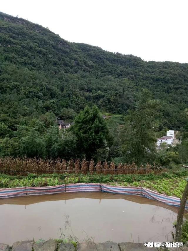 想回家了怎么办