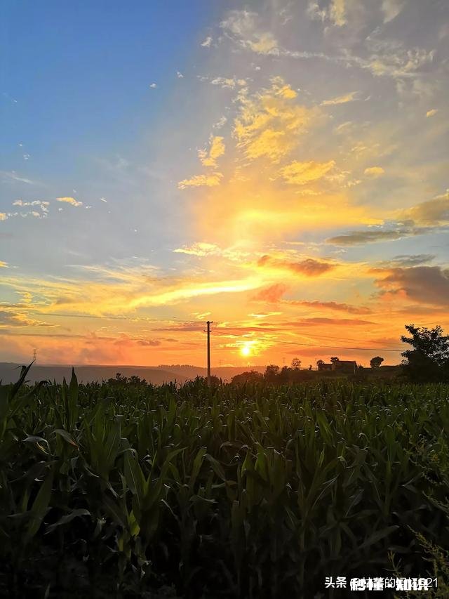 想回家了怎么办