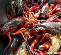 你最拿手的菜是什么又是谁教你做的