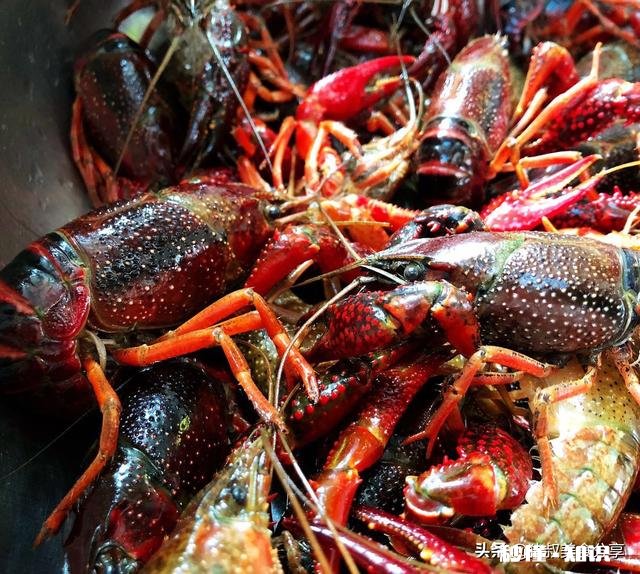 你最拿手的菜是什么又是谁教你做的