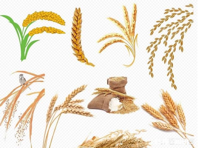 想在农村弄个小加工厂，在哪里可以找到销路