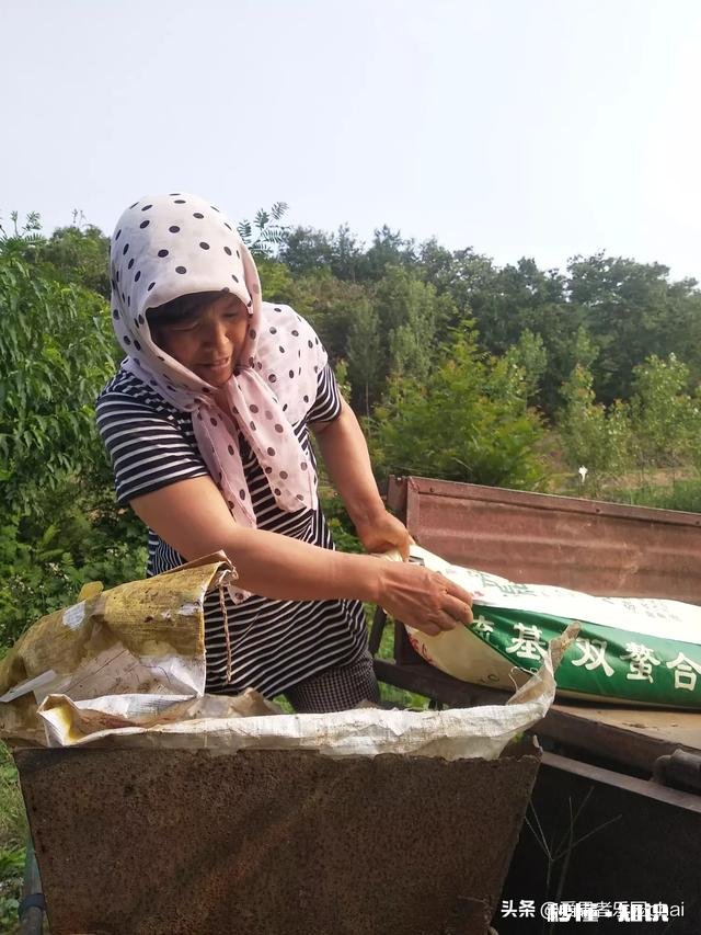 八月份果园管理应注意哪些问题