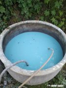 八月份果园管理应注意哪些问题