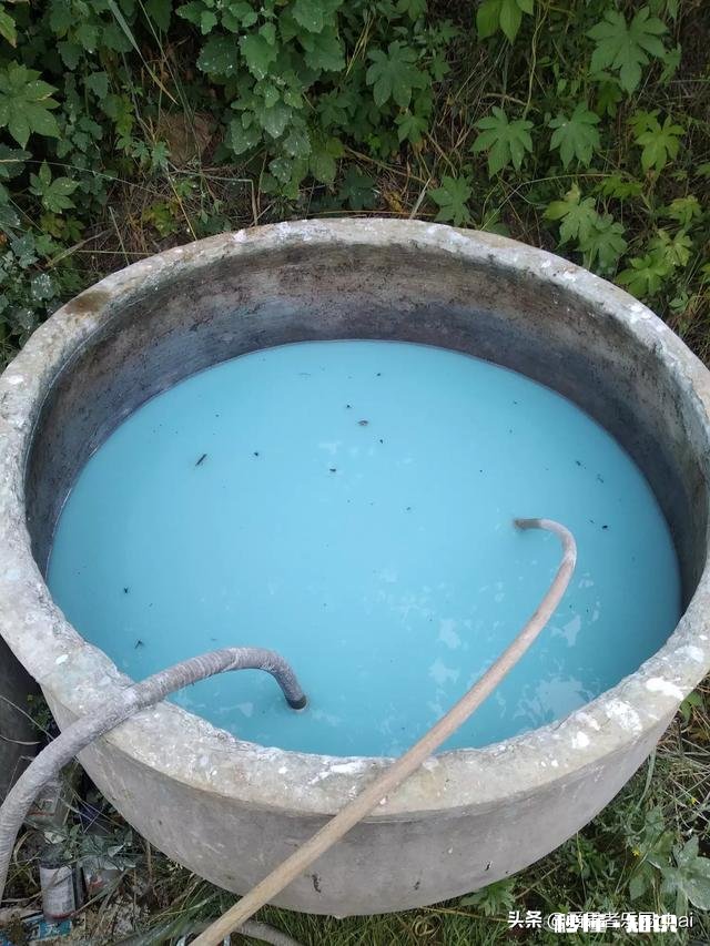 八月份果园管理应注意哪些问题