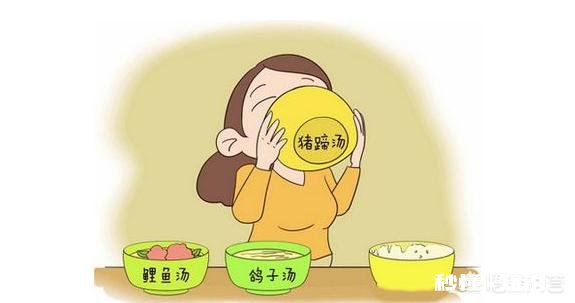 生完孩子常喝鸽子汤好吗