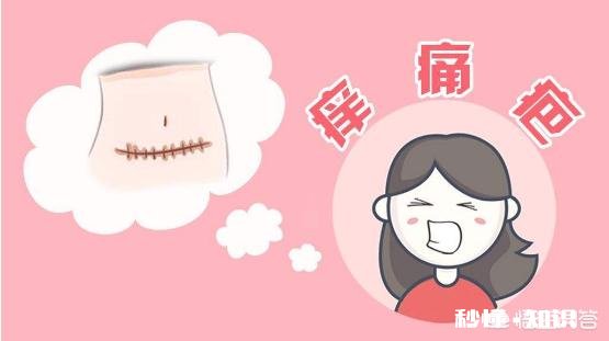 生完孩子常喝鸽子汤好吗