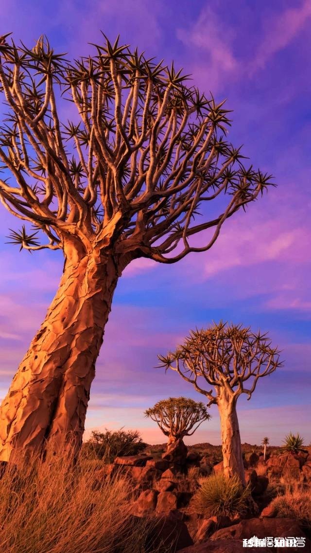 上联:一辆汽车,四个轮子,风风雨雨走遍东南西北,如何对下联