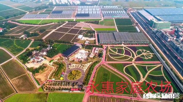 上联：风绕水阁，吹醒渚莲千朵白，如何对下联