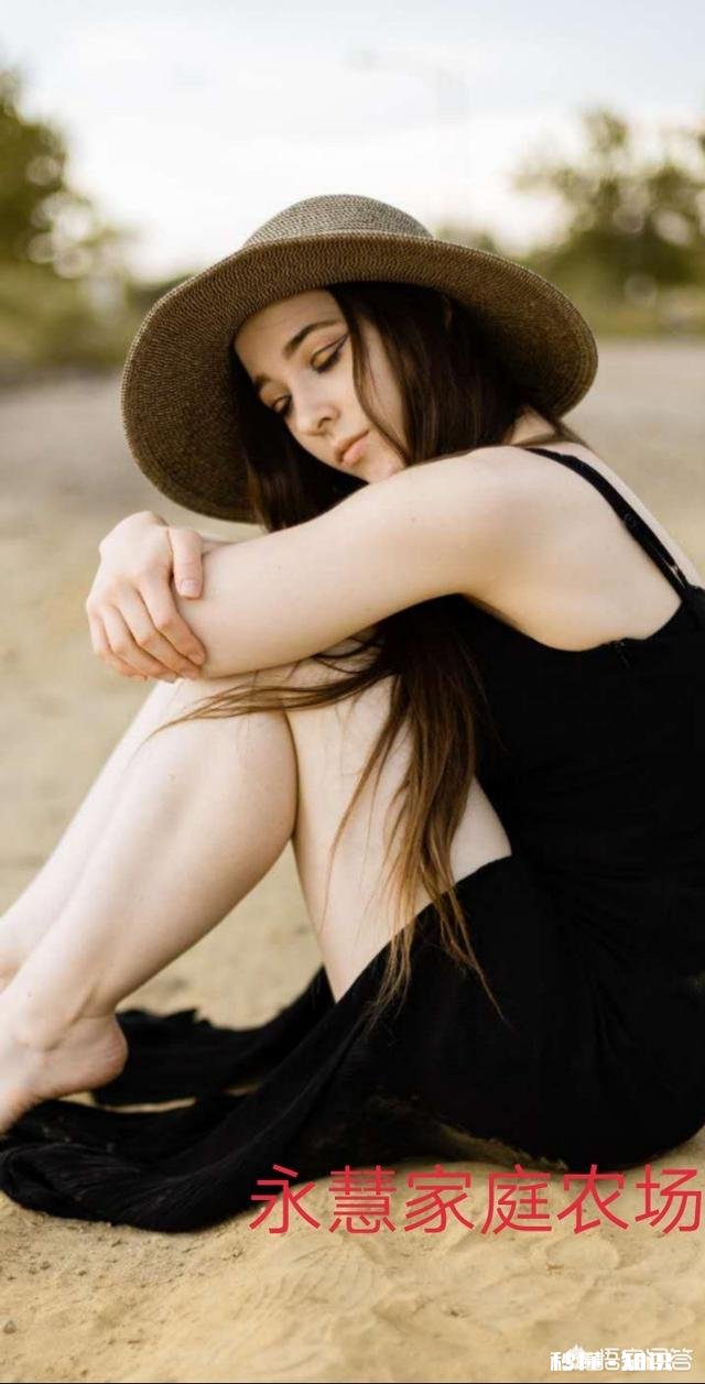 上联：风绕水阁，吹醒渚莲千朵白，如何对下联