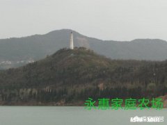 上联：风绕水阁，吹醒渚莲千朵白，如何对下联