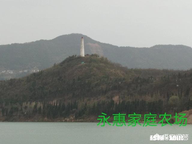 上联：风绕水阁，吹醒渚莲千朵白，如何对下联