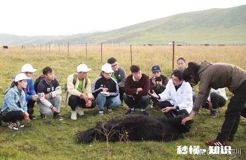 农村大学生的出路在哪，父母总是希望我能找一个铁饭碗，谁能告诉我我们人生的意义到底是什么