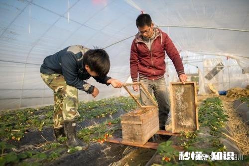 农村大学生的出路在哪，父母总是希望我能找一个铁饭碗，谁能告诉我我们人生的意义到底是什么