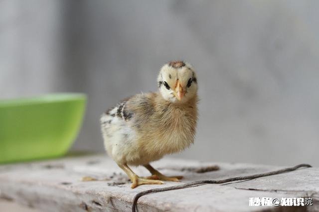 农村大学生的出路在哪，父母总是希望我能找一个铁饭碗，谁能告诉我我们人生的意义到底是什么