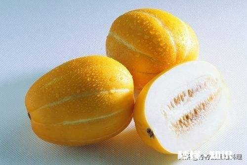 香瓜哪个品种最好