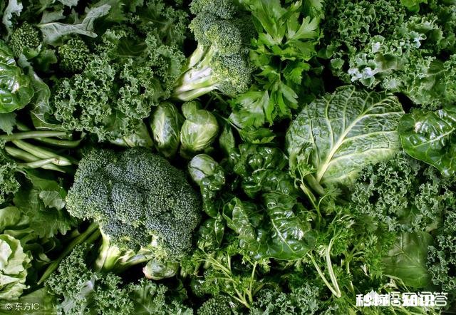 产后三个月了体重150斤，该怎么瘦肚子和大粗腿