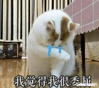 科目三故意刁难考生，你们碰到过吗