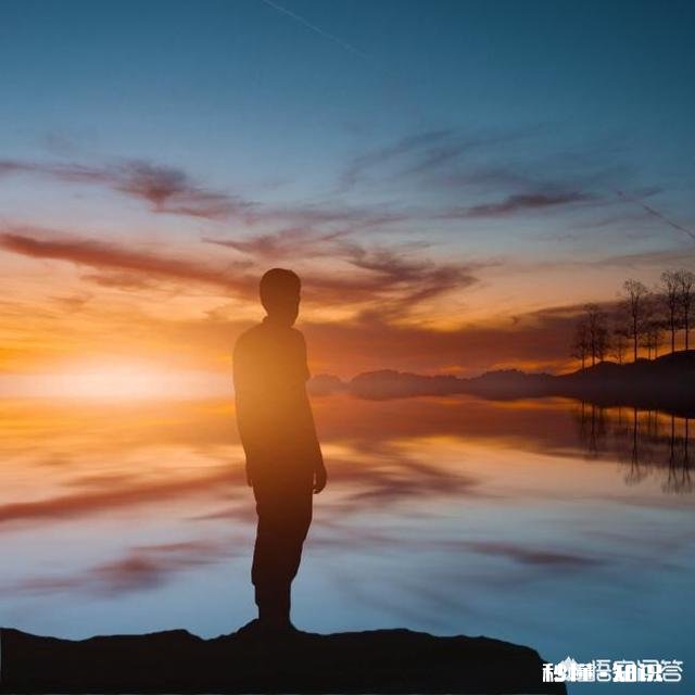 一个人在深圳，不回老家过年是什么感觉